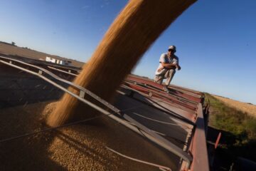 La política cambiaria y la carga impositiva impiden mejorar la competitividad del sector