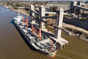 Hay boom de exportación de soja y alcanza un récord en 10 años
