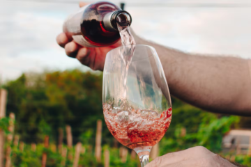 Sturzenegger viaja a Mendoza para hablar sobre la desregulación en la industria