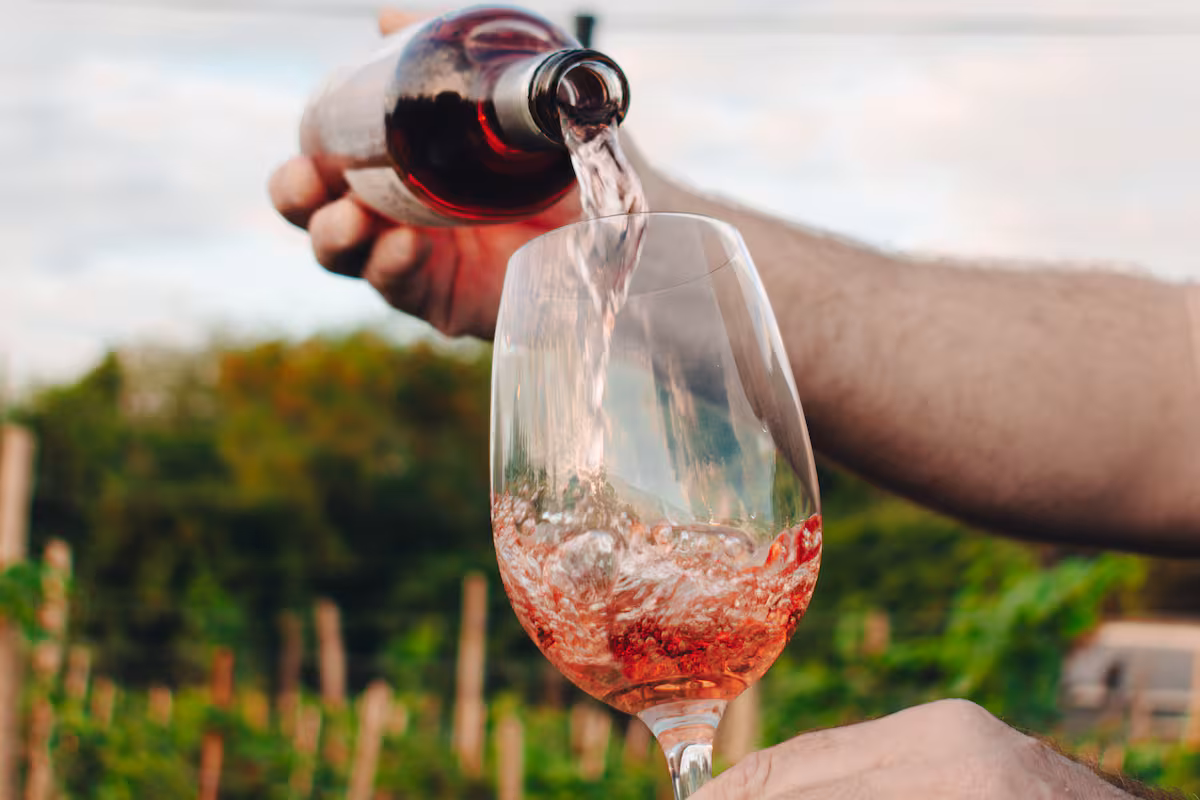 Sturzenegger viaja a Mendoza para hablar sobre la desregulación en la industria