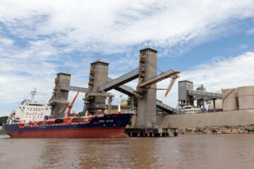 Dato sobre exportaciones de trigo sorprendió a todo el mercado