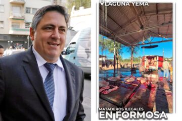 El senador Paoltroni denunció funcionamiento de mataderos ilegales en Formosa