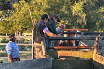 Un problema que trasciende fronteras y especies