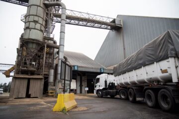 Revelan que producir más soja en la Argentina tendría un fuerte efecto derrame