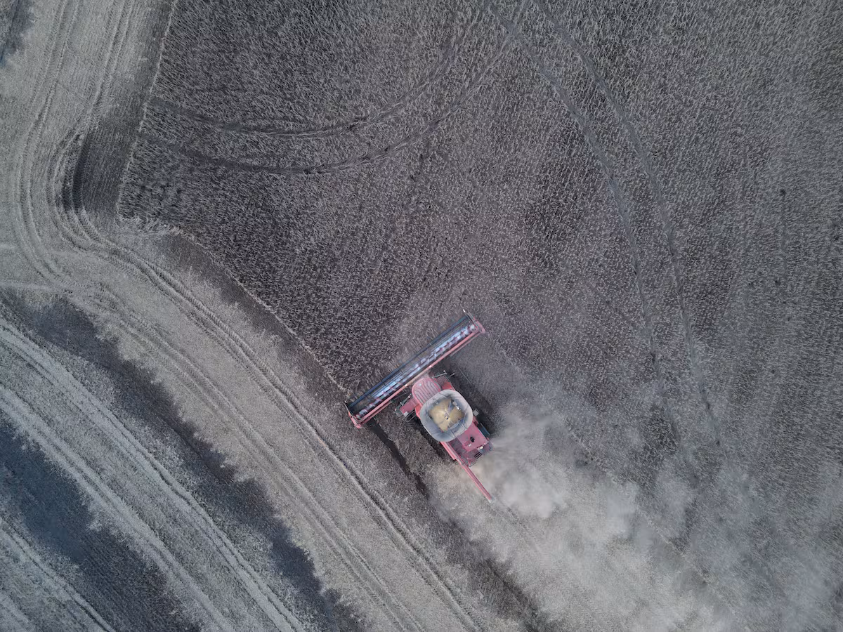 La soja retomó la senda alcista en Chicago ante expectativas sobre China