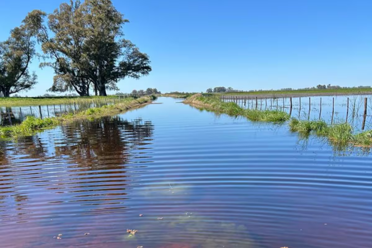 La infraestructura y la gobernanza del agua, prioridad en la agenda