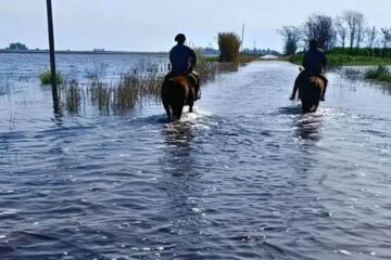 Luis Caputo declaró la emergencia agropecuaria en zonas de Río Negro, Entre Ríos y Buenos Aires