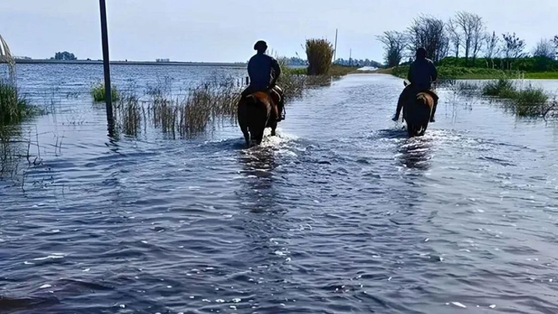 Luis Caputo declaró la emergencia agropecuaria en zonas de Río Negro, Entre Ríos y Buenos Aires