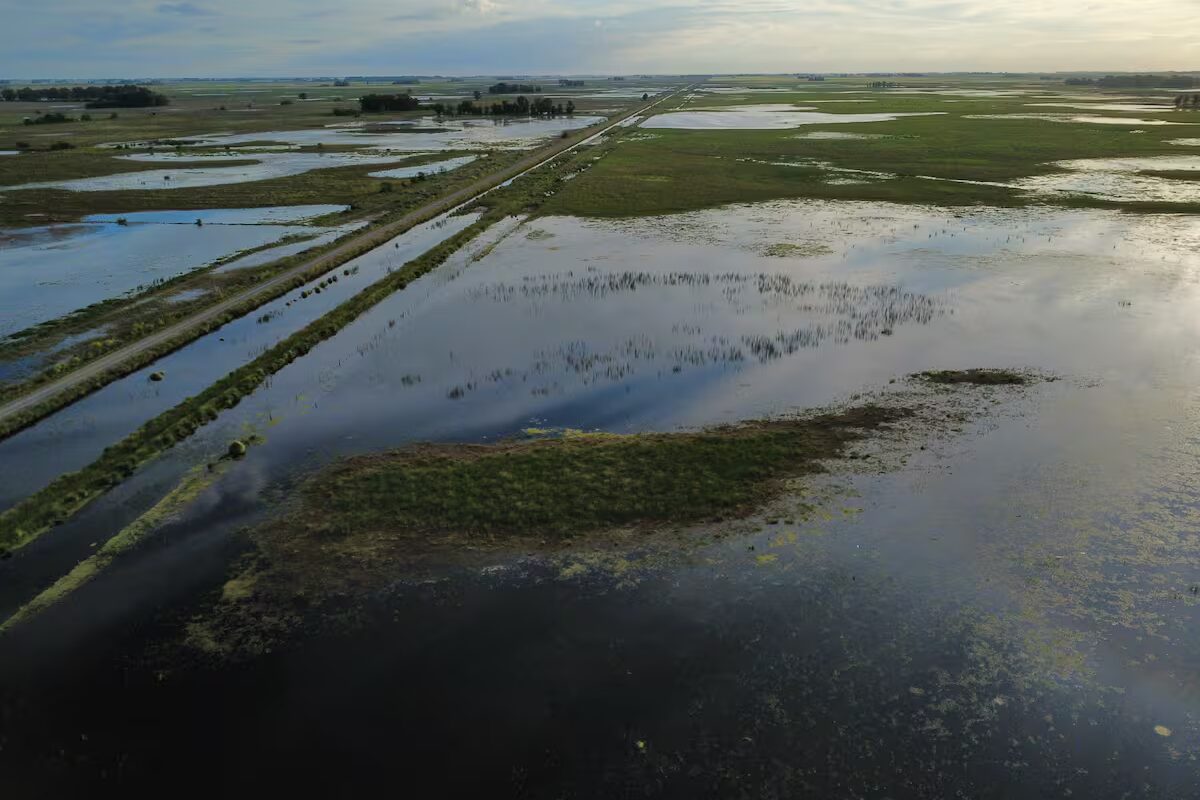Cómo funcionan los créditos del Banco Nación para productores afectados
