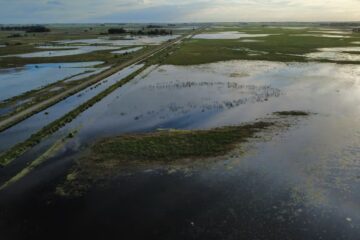 Cómo funcionan los créditos del Banco Nación para productores afectados