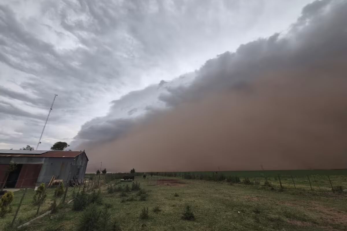 Feroz temporal arrasó el pulmón verde de un pueblo rural