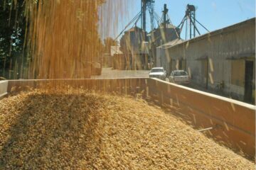 Herramienta de financiamiento para el agro superó los US$1900 millones