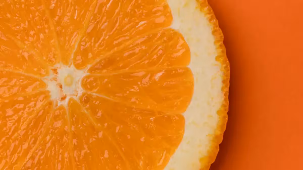 Cincuenta y tres productos del agro tuvieron el mejor desempeño exportador en los últimos 7 años