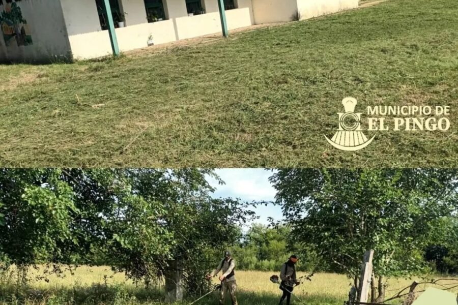 Desmalezado en la Escuela Nº 85