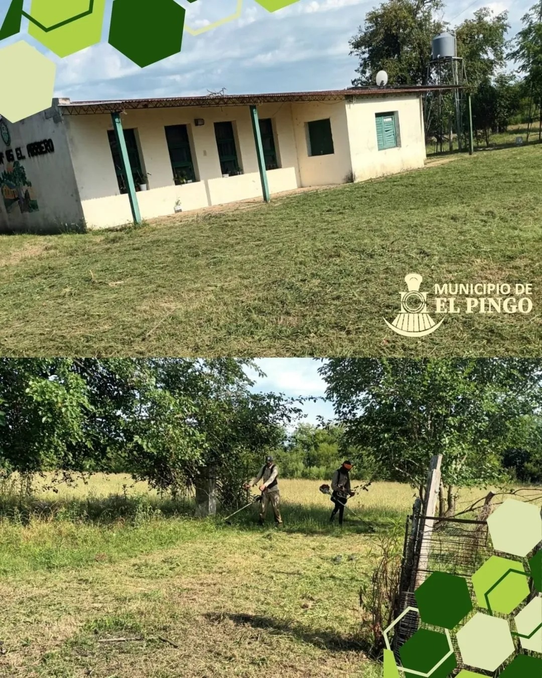 Desmalezado en la Escuela Nº 85