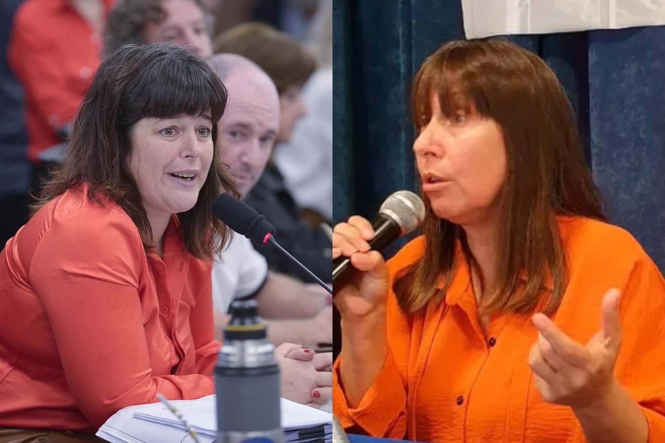 Domínguez y Gaillard cuestionan su apartamiento del PJ y denuncian falta de democracia interna