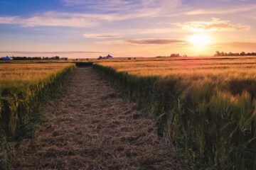 La Argentina ya exporta por US$450 millones desde un complejo de fuerte interés mundial
