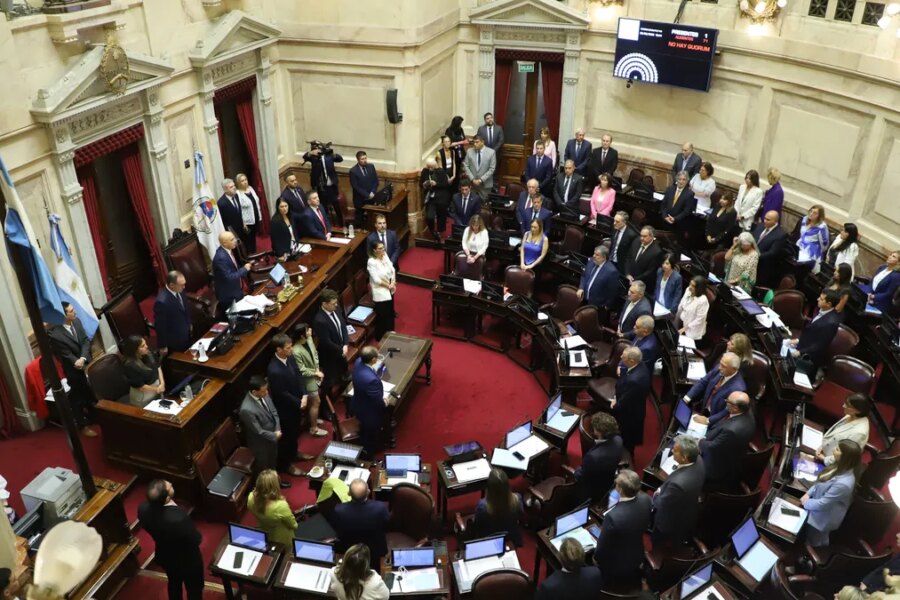 Se renueva el Senado: cómo piensan los legisladores electos y cuál será la nueva composición