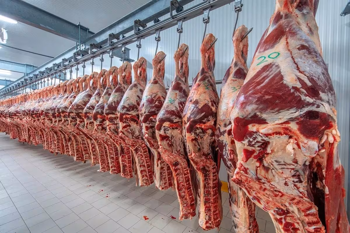 La carne atraviesa una época de oro y los precios se mantienen cerca de sus máximos