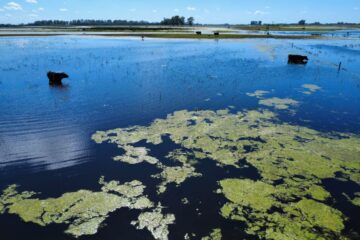 Contrapunto entre gobierno provincial y nacional por tareas frente a las inundaciones en Buenos Aires