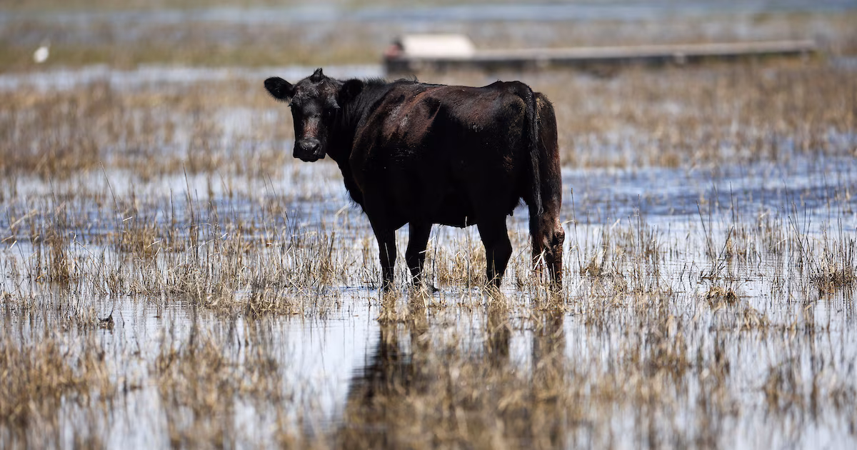 Ignacio Kovarsky respondió a la diputada Lucía Klug por el proyecto de tasa a emisiones vacunas