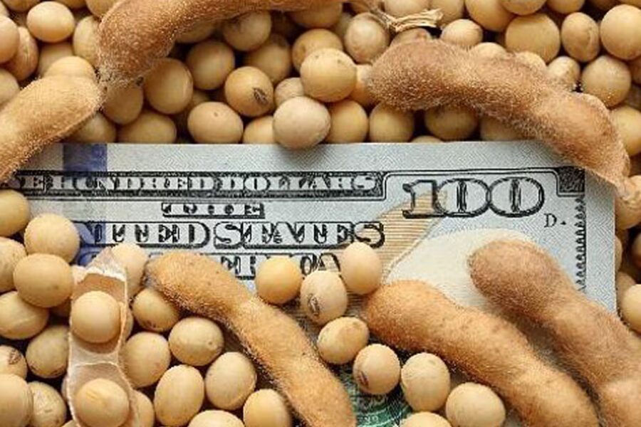 baja de retenciones al agro: cuánto impactará en el dólar y el costo fiscal de la medida