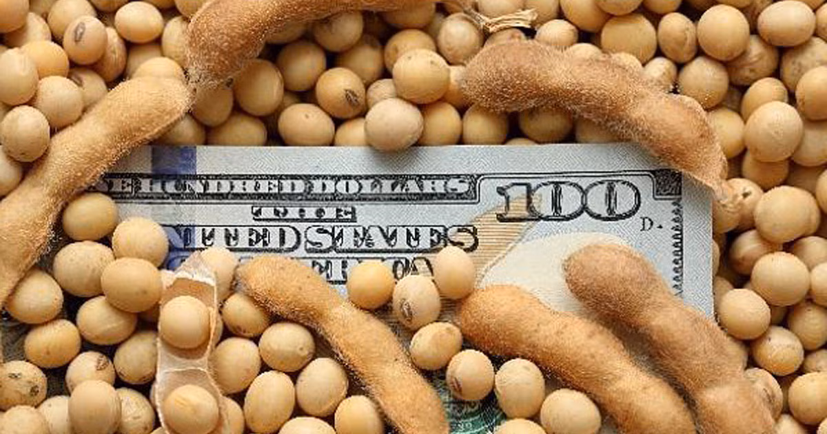 baja de retenciones al agro: cuánto impactará en el dólar y el costo fiscal de la medida