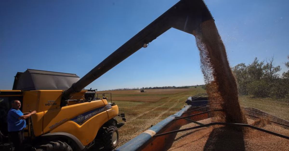 BBVA Research: economía argentina podría encadenar 3 años de crecimiento; advierten por empleo y brechas sectoriales