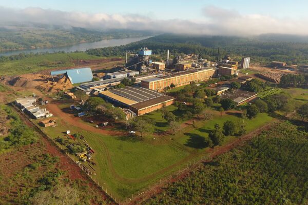 Papel Misionero cumple 50 años y se consolida como referente de la industria forestal argentina