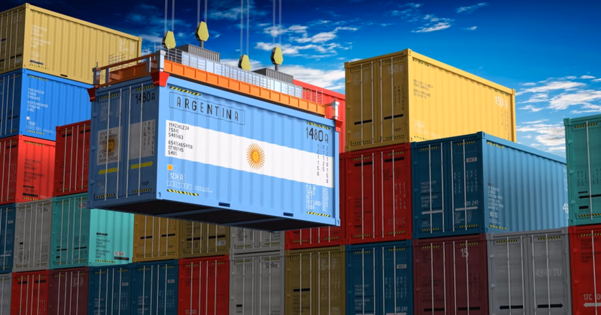 estudio: Argentina importa menos que varios países, pero alerta por el auge de compras externas y envíos de Shein y Temu