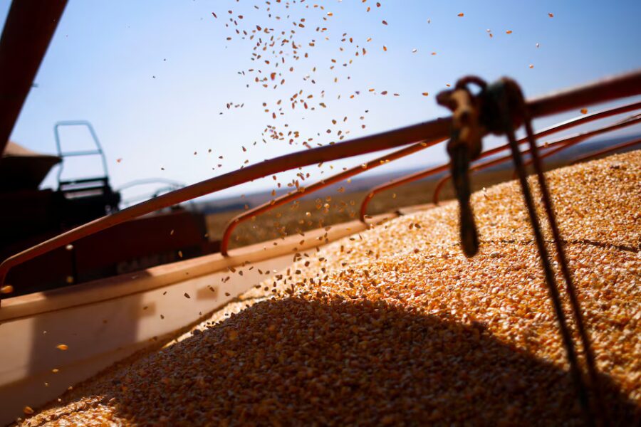 baja de retenciones al campo: impacto sobre divisas, precios y cuentas fiscales en plena demanda de dólares