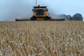 Un juego de ingenio para evitar la derrota en el partido