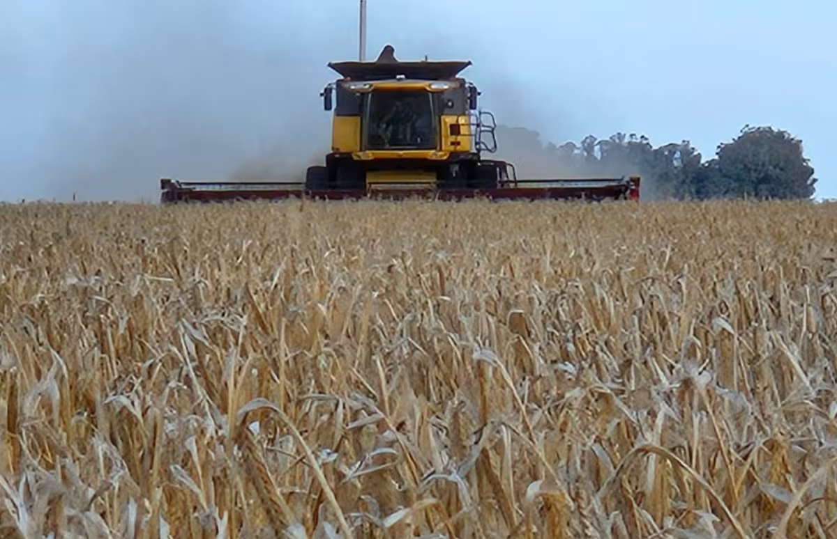 Un juego de ingenio para evitar la derrota en el partido