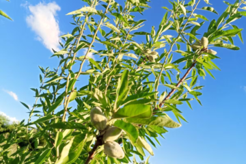 Un novedoso proyecto busca transformar una región productiva difícil y acabar con la frustración