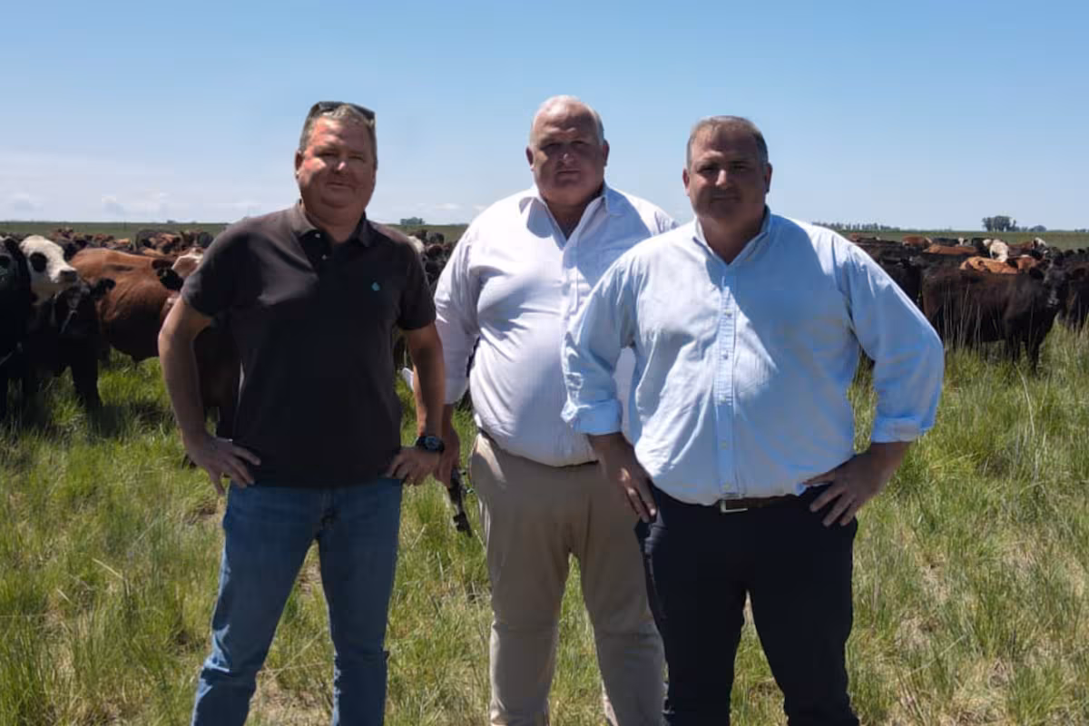 Llegó al país hace 30 años y desarrolló una solución para un problema que pocos miraban