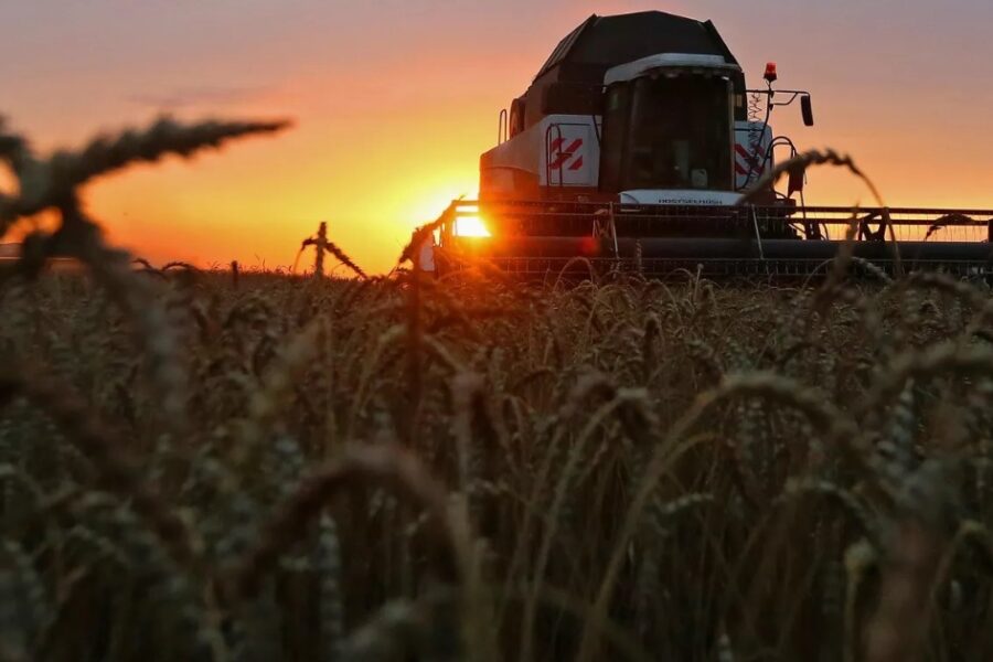 “Es necesaria”: las cerealeras apoyaron la reforma laboral de Javier Milei
