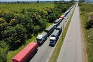 Supercosecha de trigo: ya fue récord el ingreso de camiones a puertos y continuará a pleno