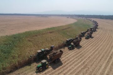 Modelo clúster para diversificación productiva: una opción para crecer