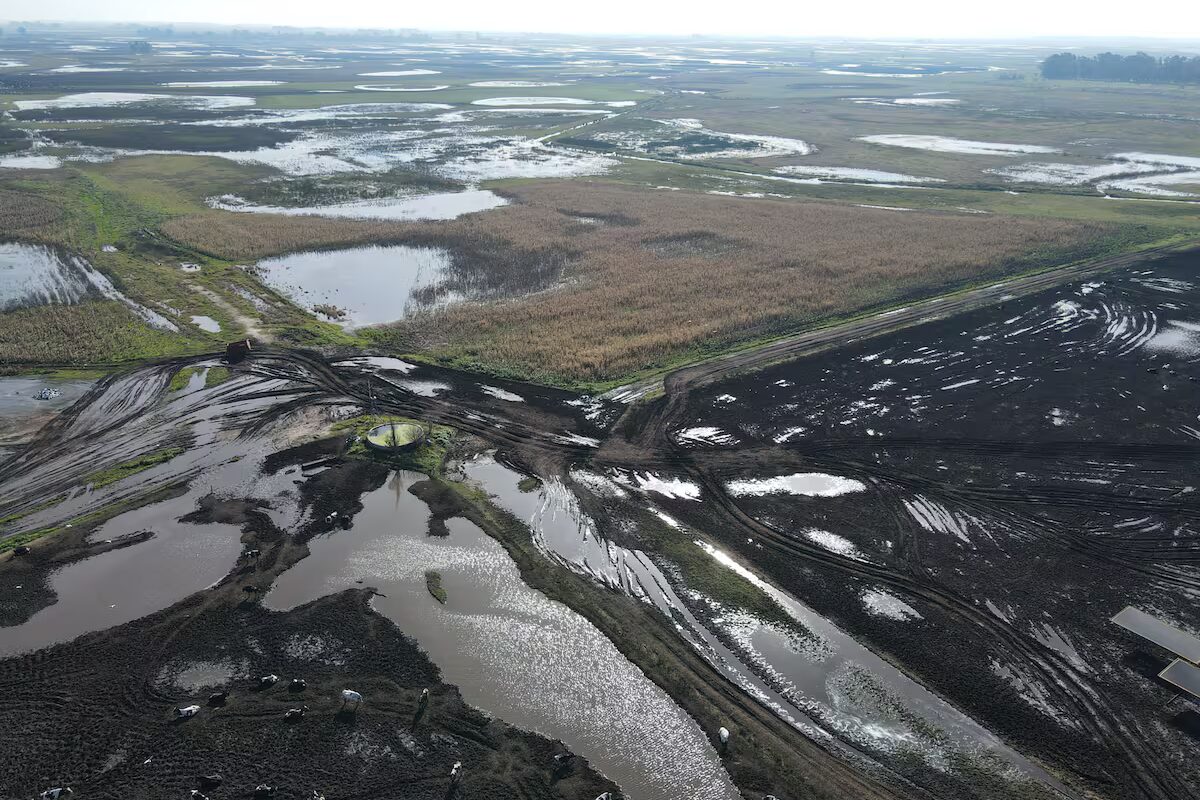 Carbap pedirá la exención en más impuestos provinciales