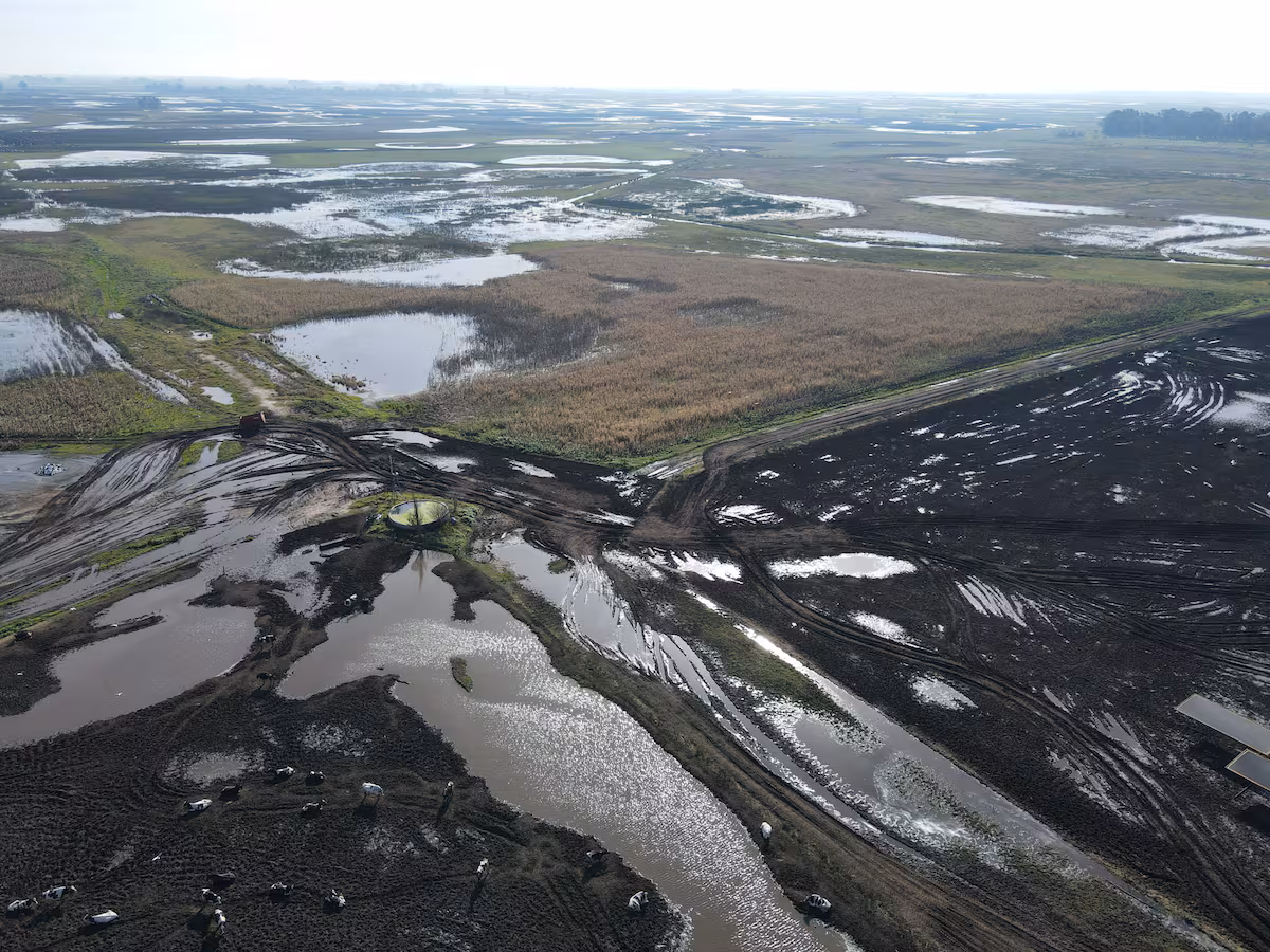 Carbap pedirá la exención en más impuestos provinciales