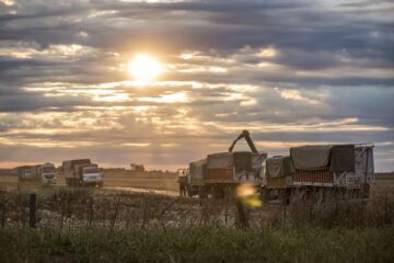 Sorpresas bienvenidas aunque sean exiguas