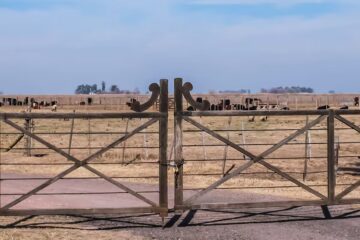 Cambios en tierras y bosques anticipan el fin de una polémica prohibición