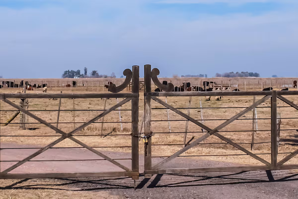 Cambios en tierras y bosques anticipan el fin de una polémica prohibición