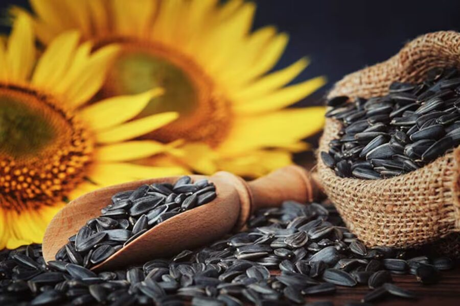 Récord en la molienda de un cultivo cuyo aceite vive un boom de ventas