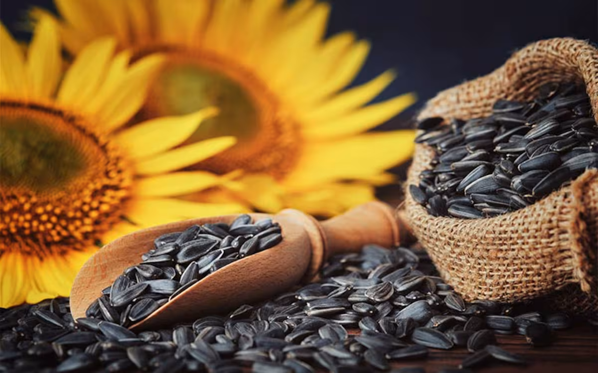 Récord en la molienda de un cultivo cuyo aceite vive un boom de ventas