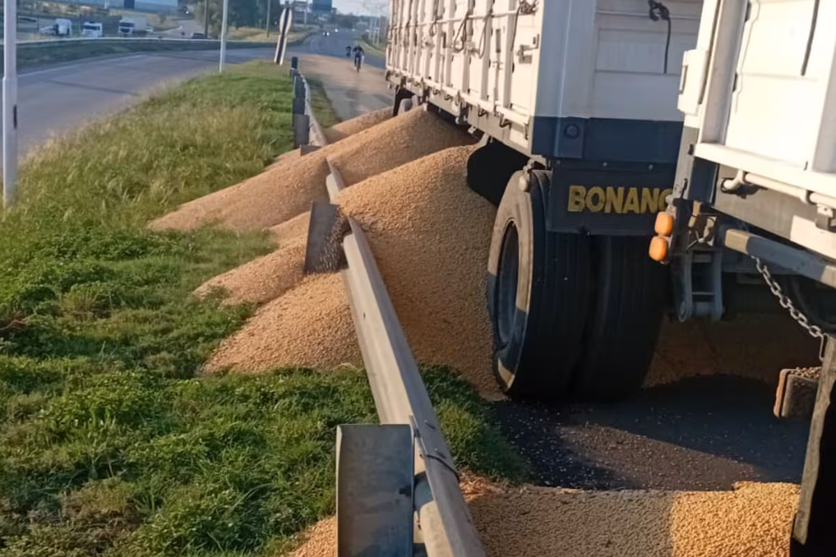 Denuncian aumento de robos en los puertos del Gran Rosario