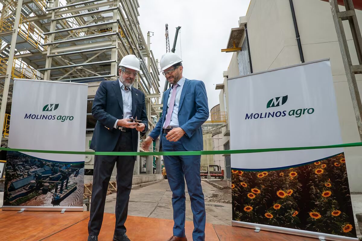 Molinos Agro amplió la molienda de girasol