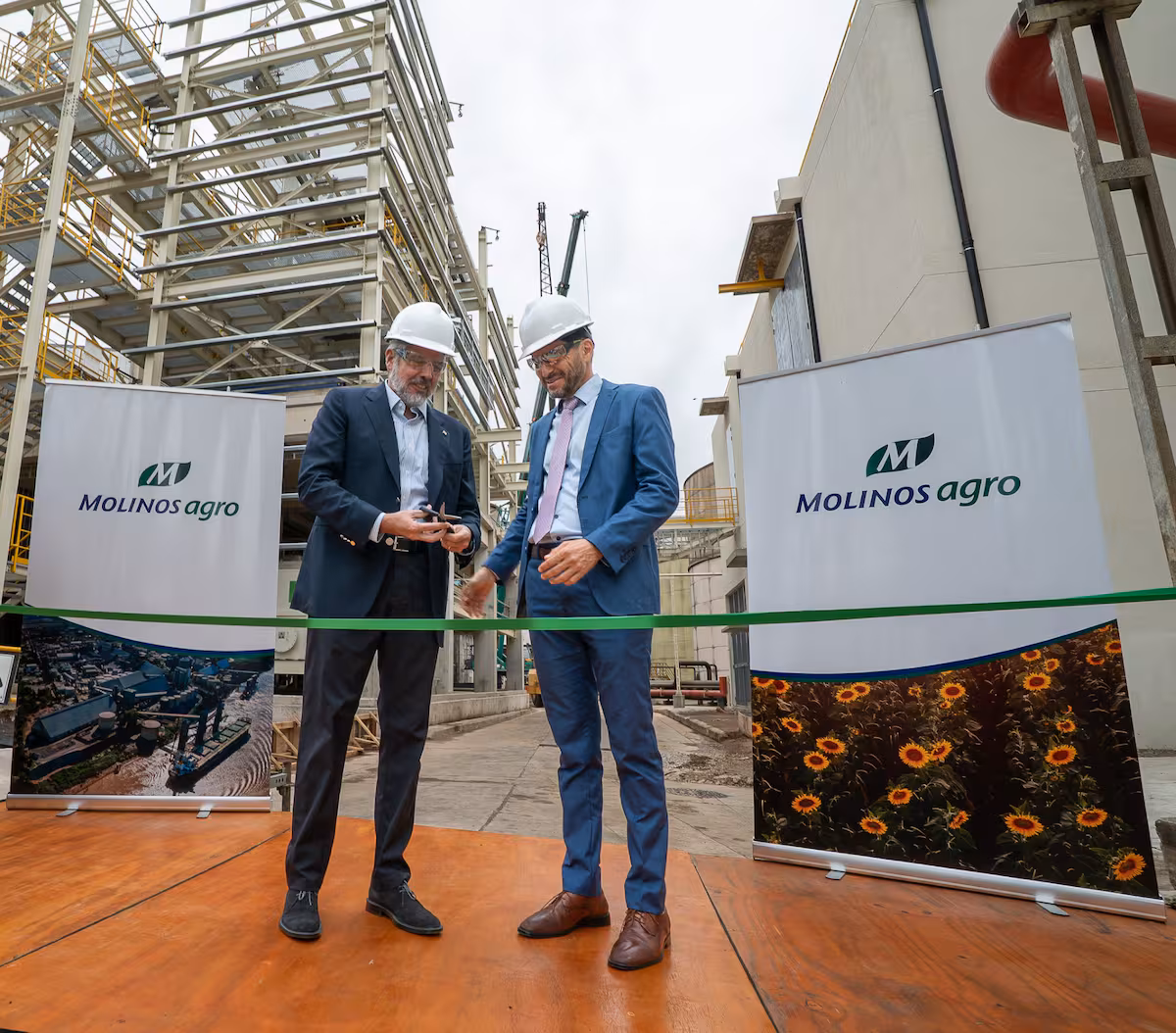 Molinos Agro amplió la molienda de girasol
