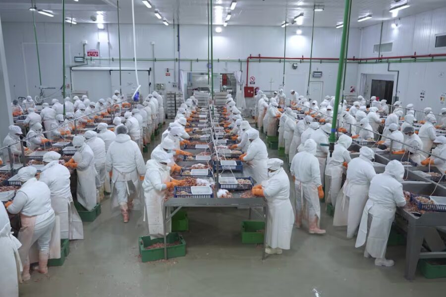 El sector pesquero le volvió a pedir a Caputo que elimine las retenciones porque está relegado