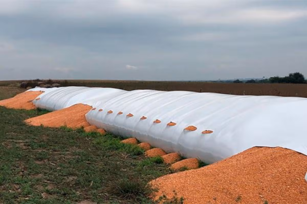 Impulsan penas más duras para quienes ataquen silobolsas y otros bienes